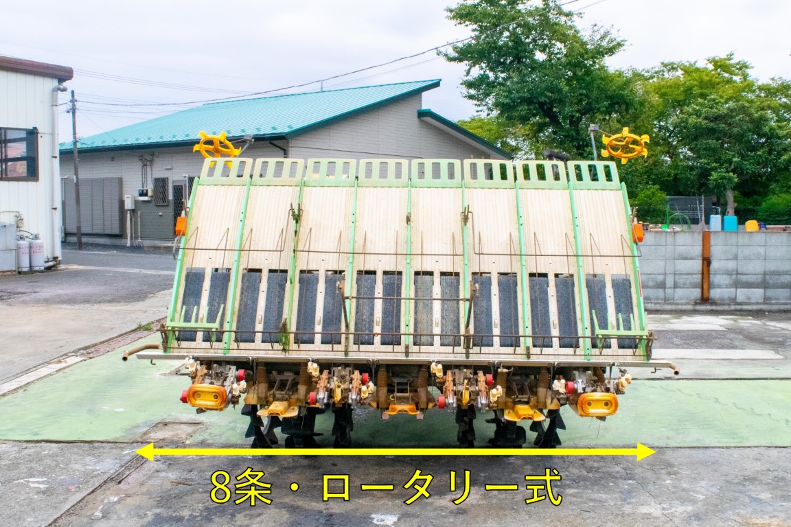 引き取り限定 神戸市西区 ヘテロブランクス 90cm
